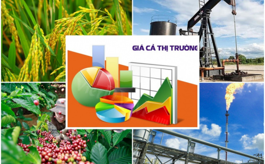 Quy định chi tiết một số điều của Luật Giá