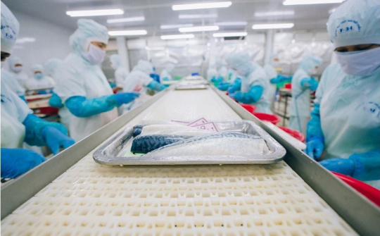 Tháo gỡ khó khăn cho các doanh nghiệp thủy sản