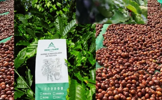 Hiệp hội Trang trại DNVN: Vùng Tây Nguyên luôn hoạt động trách nhiệm và hiệu quả