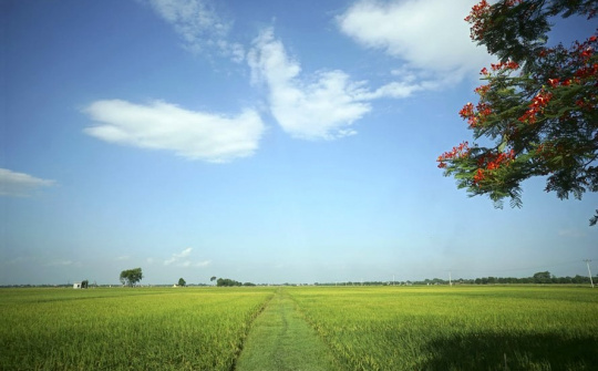 Triển khai kiểm kê đất đai trên phạm vi cả nước từ ngày 01/8/2024