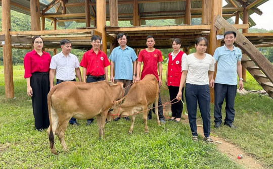 Hội Chữ thập đỏ huyện Tân Sơn: Tất cả vì người nghèo, người dễ bị tổn thương