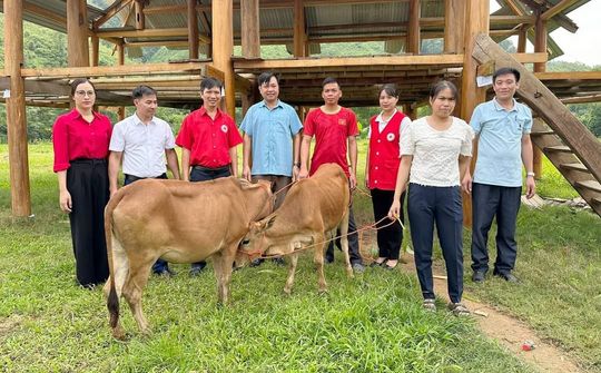 Hội Chữ thập đỏ huyện Tân Sơn: Tất cả vì người nghèo, người dễ bị tổn thương