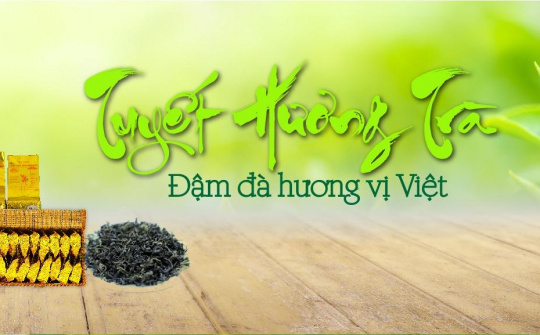 Hợp tác xã Tuyết Hương: Sản xuất chè theo quy trình VietGAP – Hướng đi bền vững