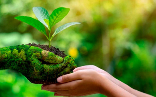 Bảo đảm quyền được sống trong môi trường trong lành của Nhân dân
