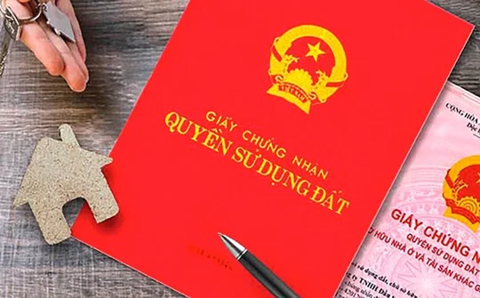 Cấp Giấy chứng nhận quyền sử dụng đất lần đầu không quá 03 ngày làm việc