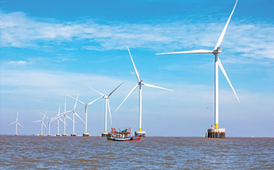 Xây dựng, trình Thủ tướng Chính phủ Đề án thí điểm phát triển điện gió ngoài khơi