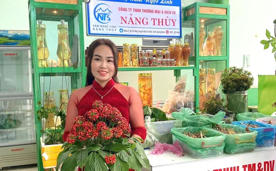 Lễ hội sâm lần thứ VI, 50 cây sâm Ngọc Linh lọt vào chung khảo hội thi
