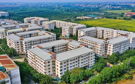 Nghị định quy định chi tiết một số điều của Luật Nhà ở 2023