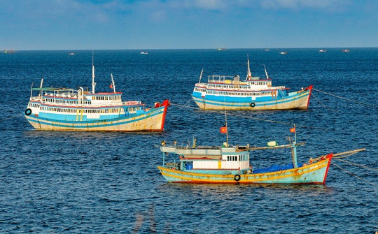 Triển khai các giải pháp khắc phục các tồn tại, hạn chế của hệ thống giám sát hành trình tàu cá (VMS)