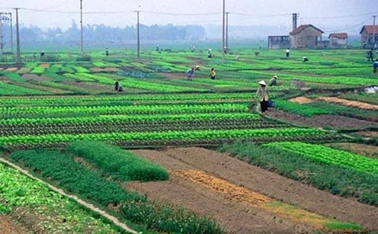 Cơ chế, chính sách giải quyết việc làm và đào tạo nghề cho người có đất thu hồi