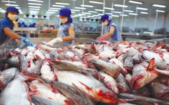 Triển lãm Vietfish 2024