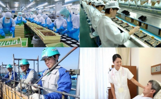 Thực trạng và giải pháp nâng cao chất lượng nguồn nhân lực của nước ta hiện nay