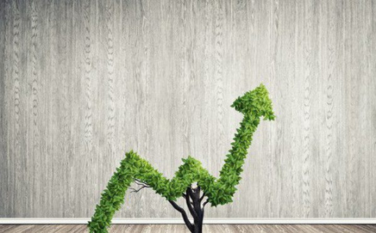 Vai trò của tầng lớp trung lưu Việt Nam - Xu hướng và Giải pháp