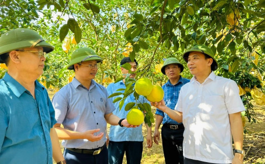 Khuyến nông cộng đồng, cánh tay nối dài cho hệ thống  Khuyến nông tỉnh Hà Tĩnh
