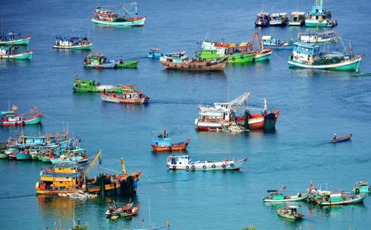 Quyết tâm gỡ "Thẻ vàng" IUU