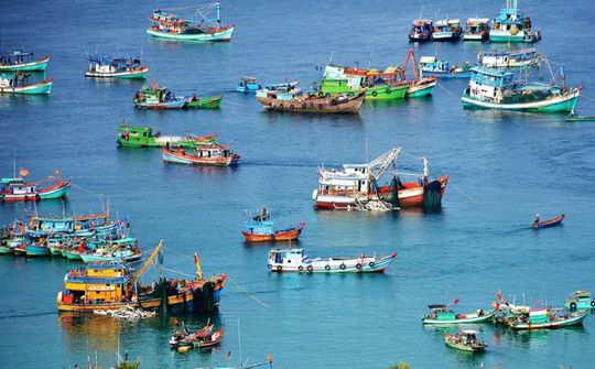 Quyết tâm gỡ "Thẻ vàng" IUU