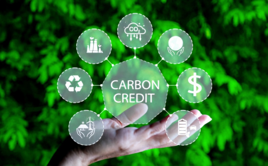 Phát triển thị trường các-bon: Kinh nghiệm quốc tế và một số khuyến nghị cho Việt Nam