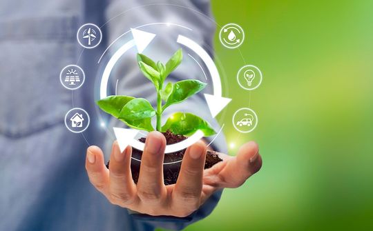 Quy chế tổ chức, hoạt động của Hội đồng quốc gia về phát triển bền vững