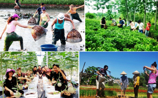 Du lịch nông nghiệp cần được quan tâm thúc đẩy mạnh hơn trong chiến lược phát triển Du lịch của tỉnh Thanh Hóa