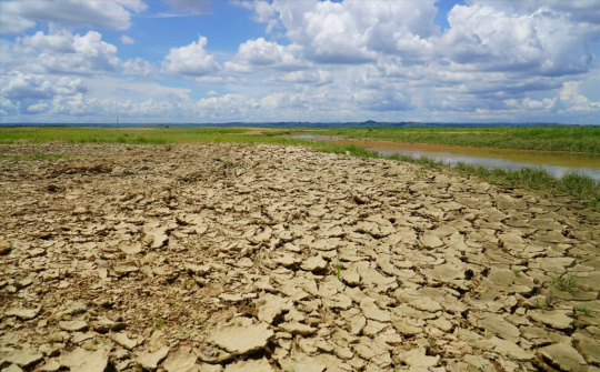 Chủ động phòng, chống, khắc phục hậu quả thiên tai trong thời gian tới