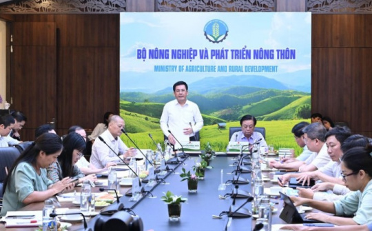 Cần thiết thành lập Hội đồng lúa gạo quốc gia