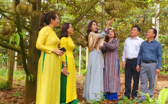 Sầu riêng Krông Pắc - Phát triển và Hội nhập