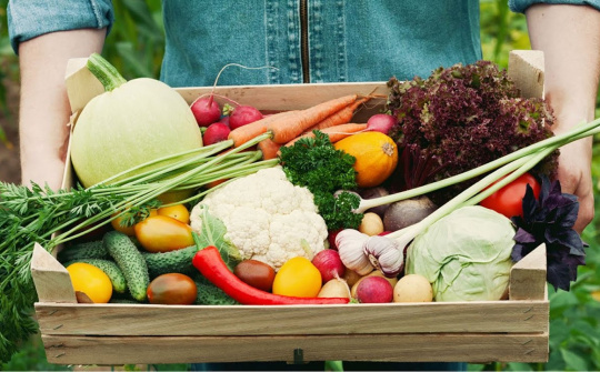 HaNoi enhances effectiveness of agricultural product chains