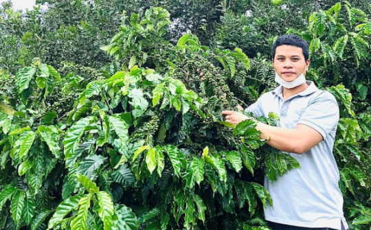 Asanzo Coffee – Tinh hoa cà phê hảo hạng dành cho người Việt