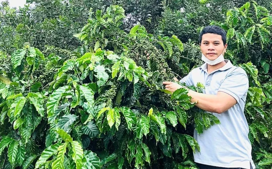 Asanzo Coffee – Tinh hoa cà phê hảo hạng dành cho người Việt