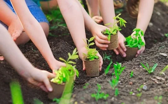 Bảo vệ môi trường vì mục tiêu phát triển bền vững đất nước