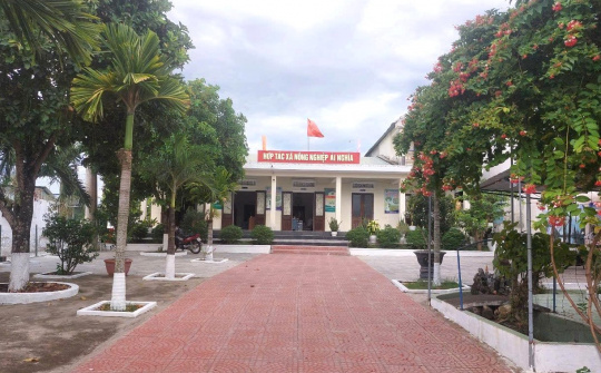 Hợp tác xã Nông nghiệp Ái Nghĩa: Đẩy mạnh liên kết thu mua nông sản cho nông dân