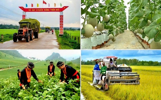 Giải pháp nâng cao hiệu quả thực hiện các Chương trình Mục tiêu Quốc gia