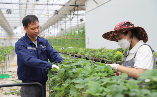 Nghị quyết 143/NQ-CP: Lực đẩy quan trọng cho doanh nghiệp phục hồi sau bão lũ