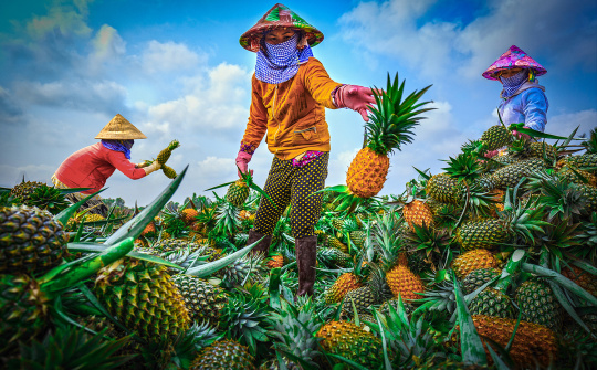Di cư lao động của đồng bào dân tộc thiểu số ở khu vực ĐBSCL: Thực trạng và đề xuất giải pháp