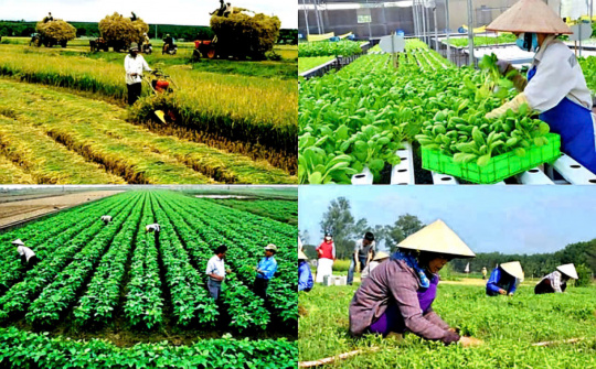 Đổi mới Chính sách hỗ trợ phát triển tổ hợp tác, hợp tác xã, liên hiệp hợp tác xã trong tình hình hiện nay