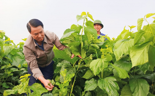 Văn Yên (Yên Bái): Vận dụng sáng tạo lời căn dặn của Bác Hồ trong kiến tạo xây dựng huyện nông thôn mới