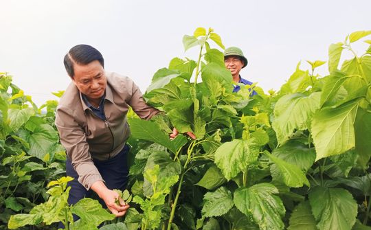 Văn Yên (Yên Bái): Vận dụng sáng tạo lời căn dặn của Bác Hồ trong kiến tạo xây dựng huyện nông thôn mới