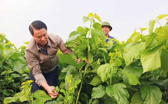 Văn Yên (Yên Bái): Vận dụng sáng tạo lời căn dặn của Bác Hồ trong kiến tạo xây dựng huyện nông thôn mới