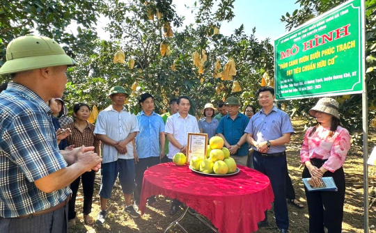 Hà Tĩnh tập trung thực hiện chỉ tiêu 13.5 - Tổ khuyến nông cộng đồng hướng đến 2025 toàn tỉnh đạt chuẩn nông thôn mới