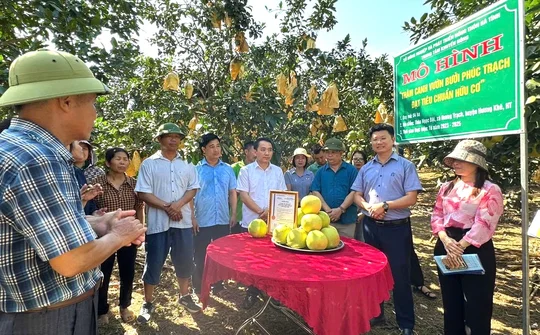 Hà Tĩnh tập trung thực hiện chỉ tiêu 13.5 - Tổ khuyến nông cộng đồng hướng đến 2025 toàn tỉnh đạt chuẩn nông thôn mới