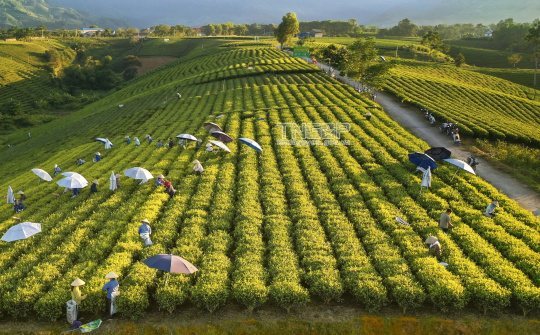 Thái Nguyên đẩy mạnh thu hút đầu tư phát triển du lịch