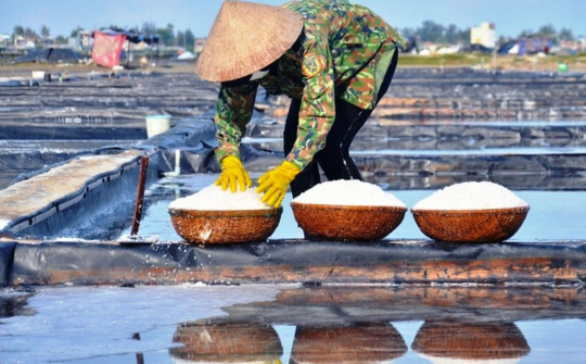 Muối Sa Huỳnh Quảng Ngãi: “Cú huých” để phát triển sản phẩm OCOP