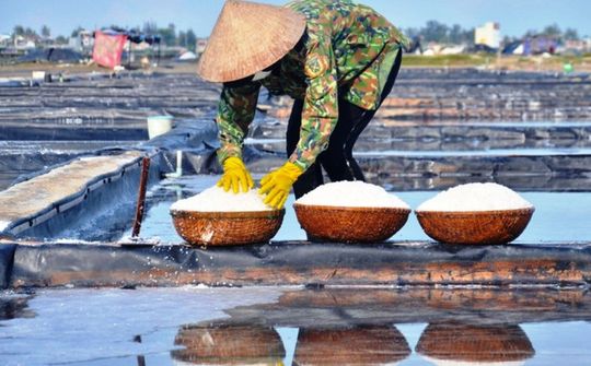 Muối Sa Huỳnh Quảng Ngãi: “Cú huých” để phát triển sản phẩm OCOP