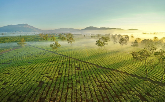 Xã Nghĩa Hưng, Chư Păh, Gia Lai: Quyết tâm cao nhất về đích Nông thôn mới