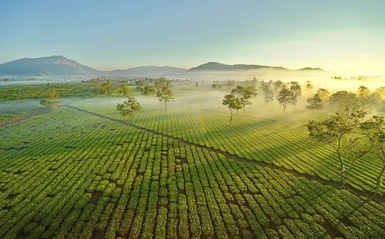 Xã Nghĩa Hưng, Chư Păh, Gia Lai: Quyết tâm cao nhất về đích Nông thôn mới