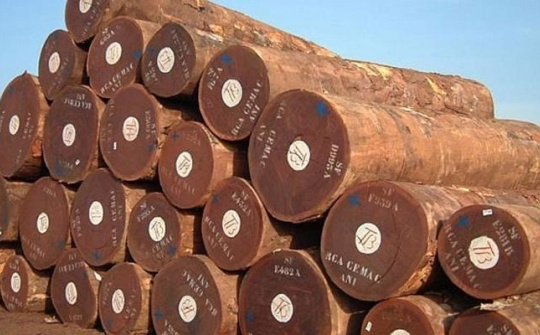 Hệ thống bảo đảm gỗ hợp pháp Việt Nam