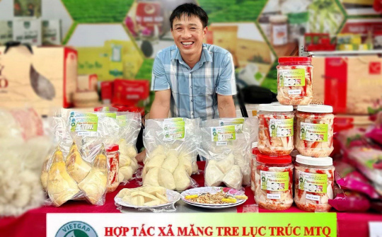 Thái Nguyên: Mô hình trồng măng tre lục trúc – Hướng phát triển kinh tế mới và bền vững cho người dân