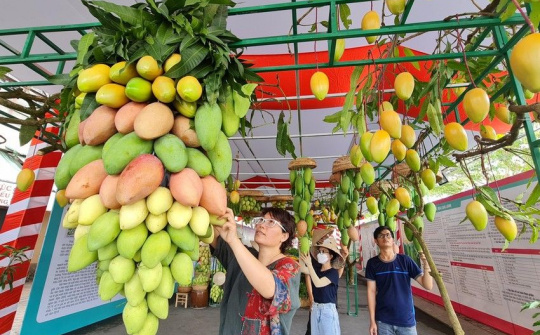 Tôn vinh giá trị Xoài tại lễ hội Xoài Cao Lãnh