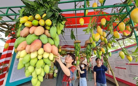 Tôn vinh giá trị Xoài tại lễ hội Xoài Cao Lãnh
