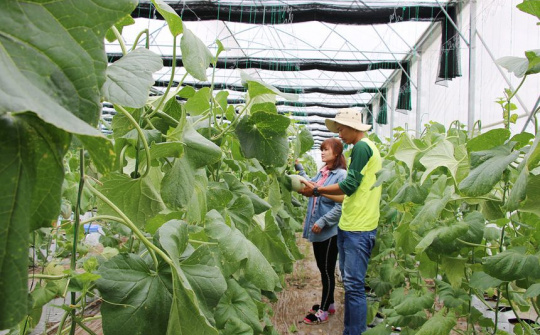 Nhiều xã tại tỉnh Bắc Ninh đạt Nông thôn mới nâng cao